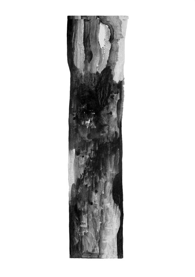 Arbre, graphite sur papier, ht 51 x 36 cm